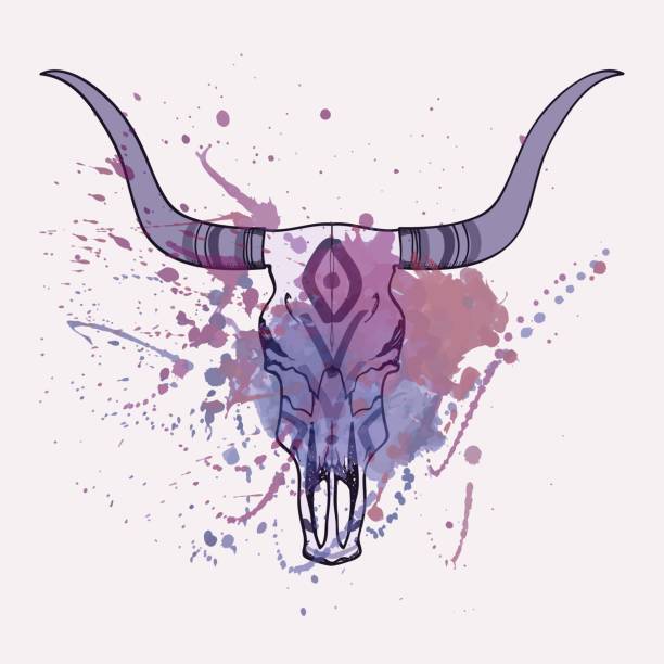 istock Vector illustration of bull skull with watercolor splash 692944236