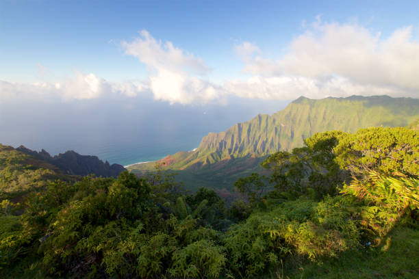 istock Kalalau lookout 692945152