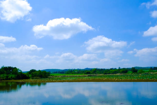 istock Nature landscape at Khao Yai Thailand 5 692945234