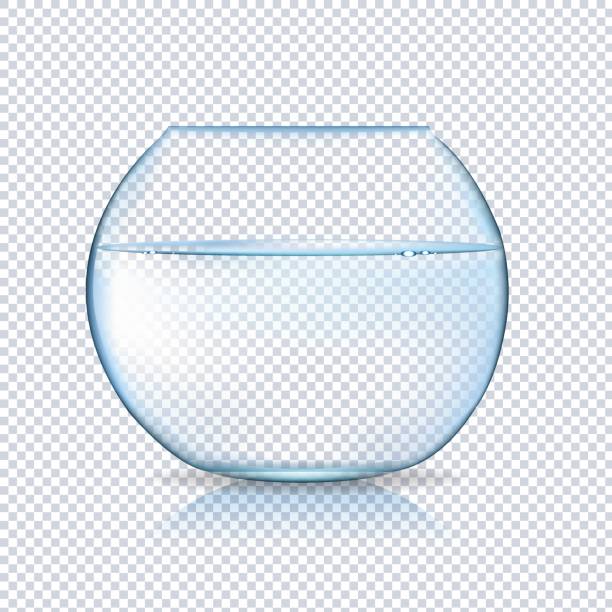 Acvarium Isolated Acvarium Isolated Gradient Mesh, Vector Illustration arise and shine stock illustrations