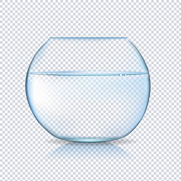 Acvarium Isolated Acvarium Isolated Gradient Mesh, Vector Illustration goldfish bowl stock illustrations