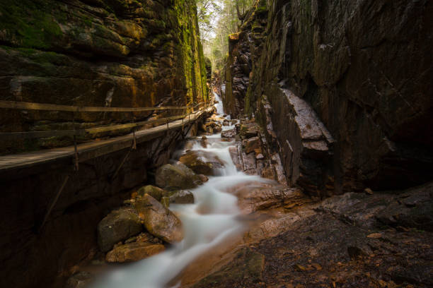 Flume Gorge The water flowing beside a wooden walkway in the Flume Gorge in Franconia Notch State Park. franconia new hampshire stock pictures, royalty-free photos & images