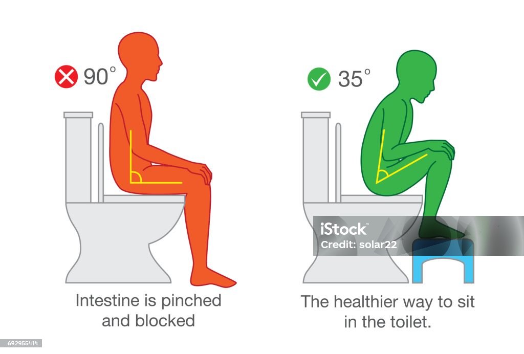 Sitting for get proper degree angle for help with excretion. Correct sitting get the proper degree angle of body on toilet seat for help with excretion. Sitting stock vector