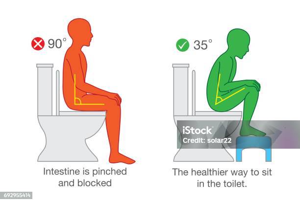 Sitting For Get Proper Degree Angle For Help With Excretion Stock Illustration - Download Image Now