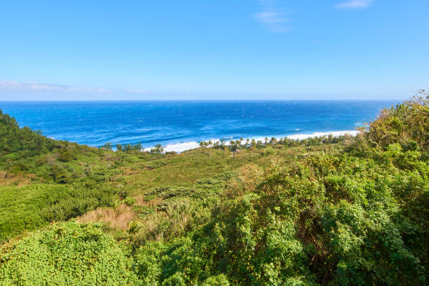 istock Grande Anse from the mountain - Reunion Island 692962292