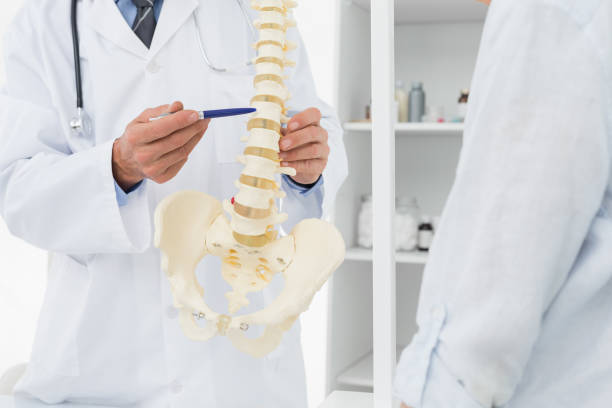 istock Mid section of doctor explaining the spine to patient 692971008