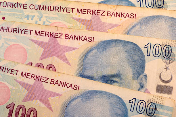 istock Close up Turkish lira currency note 692971064