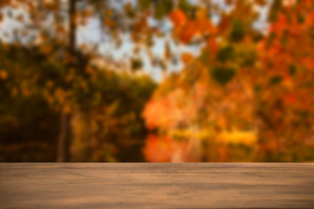 Defocused autumn scene with blank table. Defocused autumn, forest scene with blank table in foreground. Fall trees reflection in pond water. Background for object placement or copyspace. fall picnic table stock pictures, royalty-free photos & images