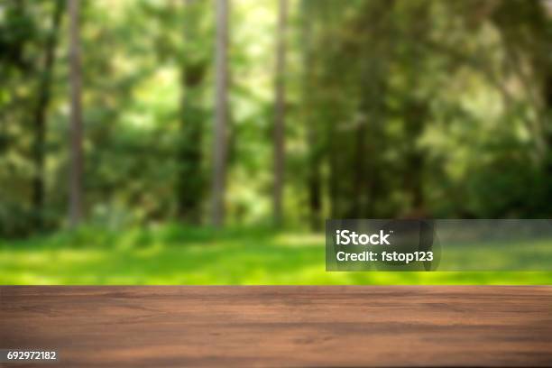 Defocused Summer Scene With Blank Table Stock Photo - Download Image Now - Backgrounds, Forest, Defocused