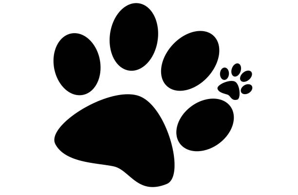 istock Paw family  Print on White Background. 692972780