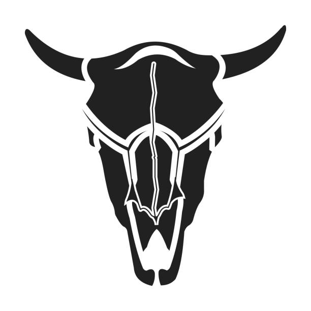 illustrations, cliparts, dessins animés et icônes de icône du taureau crâne noir style isolé sur fond blanc. wlid ouest symbole stock illustration vectorielle. - animal skull cow animal black background