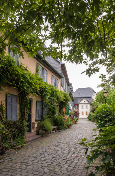 istock Green street with old houses 692982464