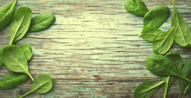 istock Fresh Baby spinach leaves on blue wooden background. Top view with copy space, horizontal frame. Healthy, Ecology concept 692986998