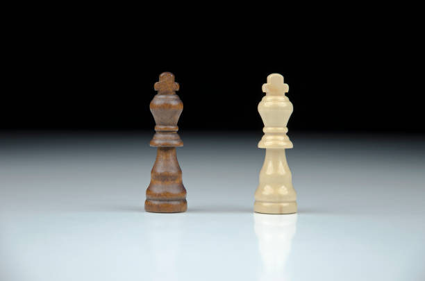 istock Close-up view of two chess king on blurred black and white background with reflection 692993814