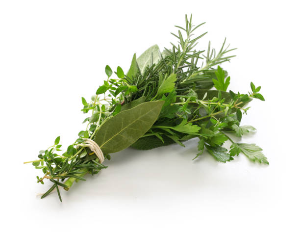 istock fresh bouquet garni, bunch of herbs 692996544