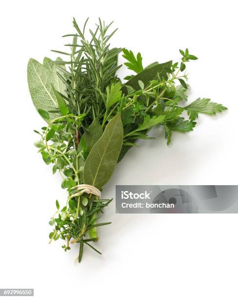 Fresh Bouquet Garni Bunch Of Herbs Stock Photo - Download Image Now - Cut Out, Bouquet Garni, Thyme