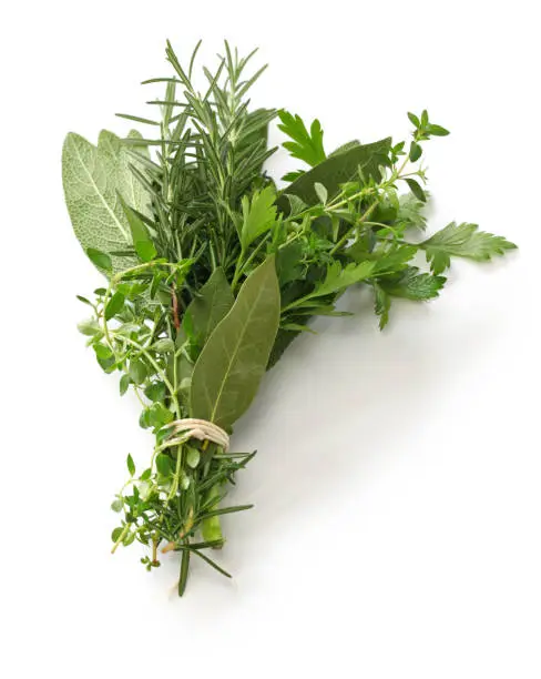 Photo of fresh bouquet garni, bunch of herbs