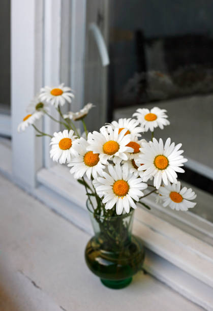 istock bouquet of camomiles 692999554