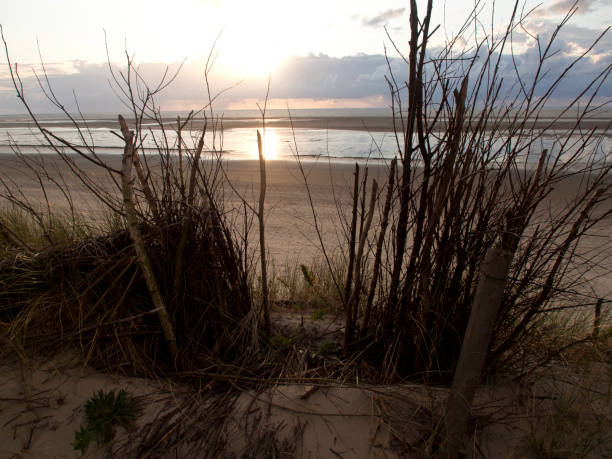 istock the northsea in germany 693007074