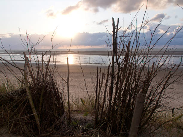 istock the northsea in germany 693007378