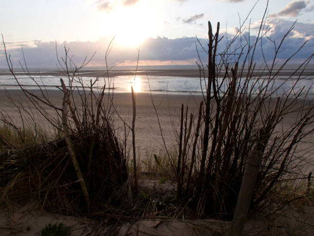 istock the northsea in germany 693007380
