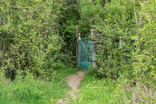 Gate in the middle of the woods. Slovakia
