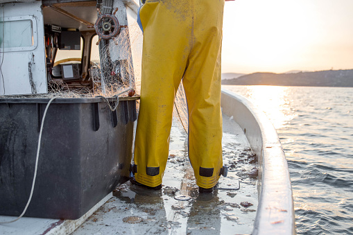 Waist down image of fisherman, wearing yellow pants and standing on a fishing boat while pulling the fishing nets on a beautiful morning sunrise in Koper, Slovenia.