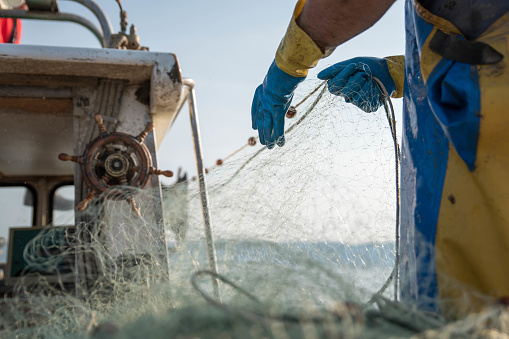 Part of fisherman's body, wearing yellow and blue pants and standing on a fishing boat while pulling the fishing nets in Koper, Slovenia.