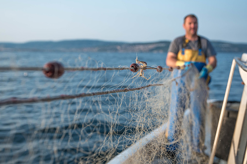 Part of fisherman's body, wearing yellow and blue pants and standing on a fishing boat while pulling the fishing nets in Koper, Slovenia.