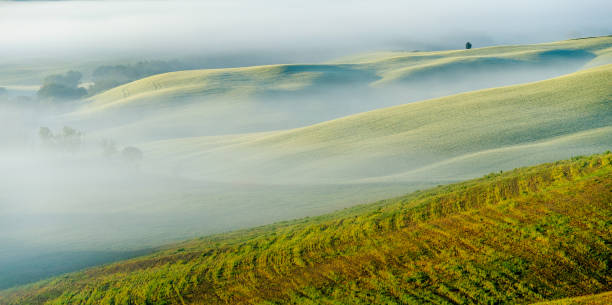 istock Morning fog softens the landscape 693030594