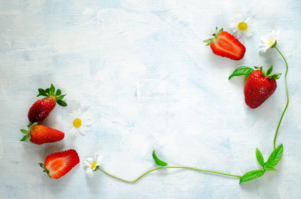 istock Fresh ripe strawberries and Chamomile flowers frame on blue background 693034420