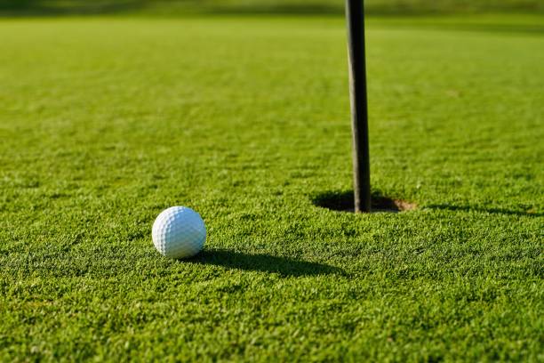 istock Golf ball on the green 693040034