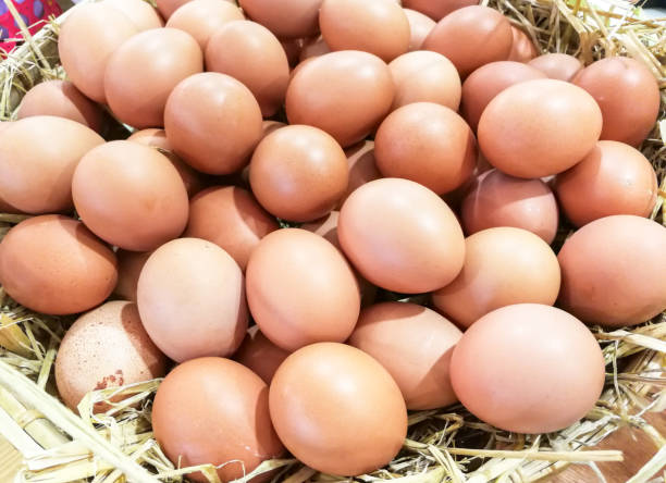 Eggs stock photo