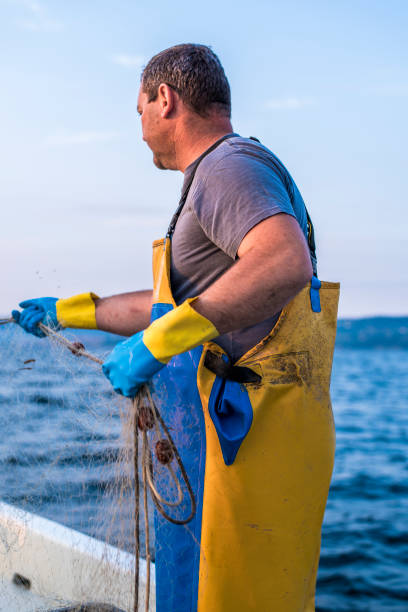 istock Fisherman pulling his fishing net from the sea 693050428