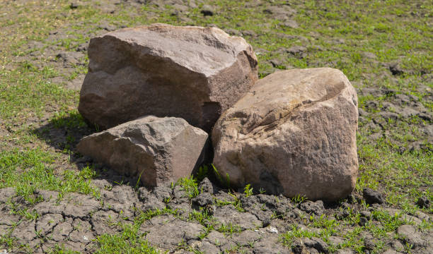 istock Pile of stones on grass 693050526