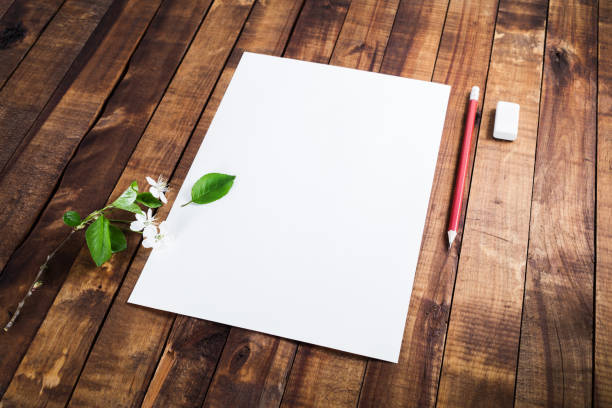 istock Letterhead, pencil, eraser 693051260
