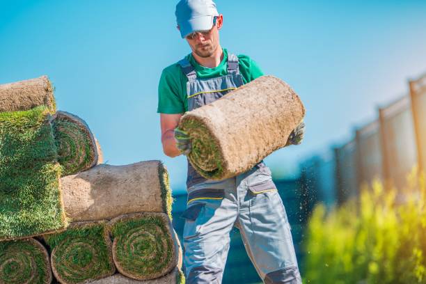 istock Gardener with Piece of Turf 693051424