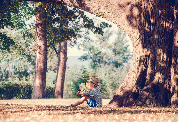 istock Boy with book sits under big tree in golden summer afternoon 693053644
