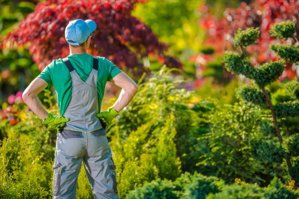 istock Satisfied Gardener in the Garden 693054590