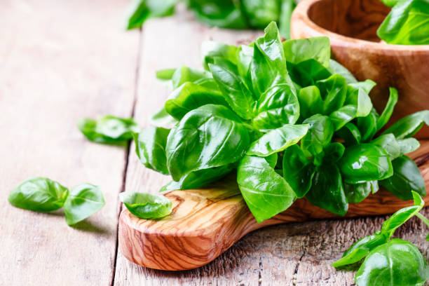 istock Fresh green basil in olive mortar with pestle 693055134