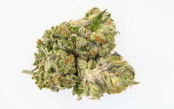 istock Stock weed Photo 693066982