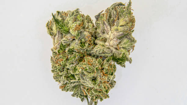 istock Stock weed Photo 693067108