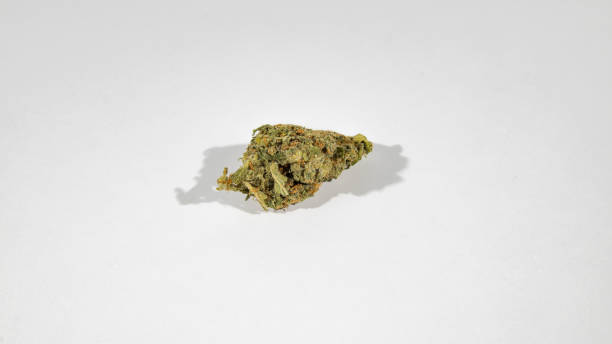istock stock cannabis photo on white backdrop 693067572