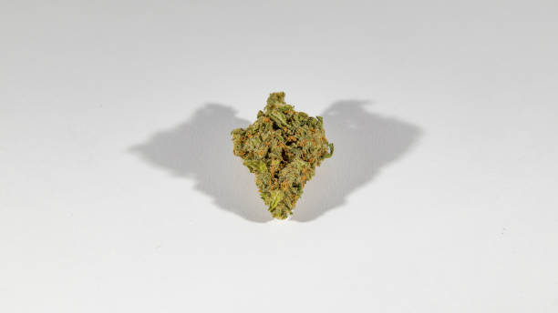 istock stock cannabis photo on white backdrop 693067700