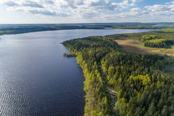 istock Aerial view of a forest lake 693070338