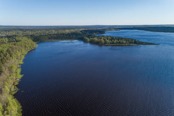 istock Aerial view of a forest lake 693070606