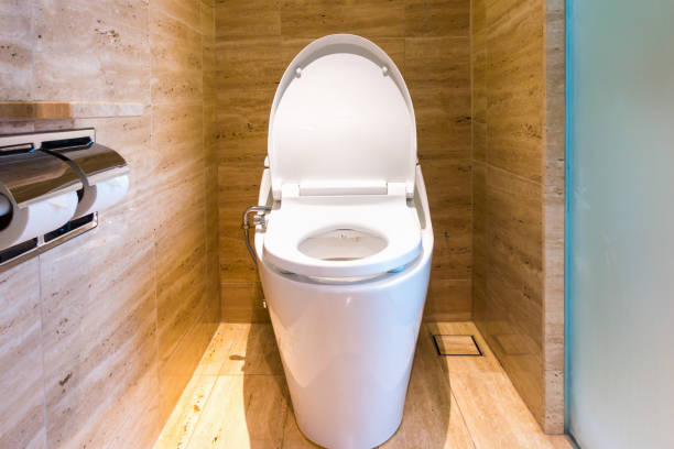 istock Toilet bowl and interior decoration., Architecture interior. 693078638
