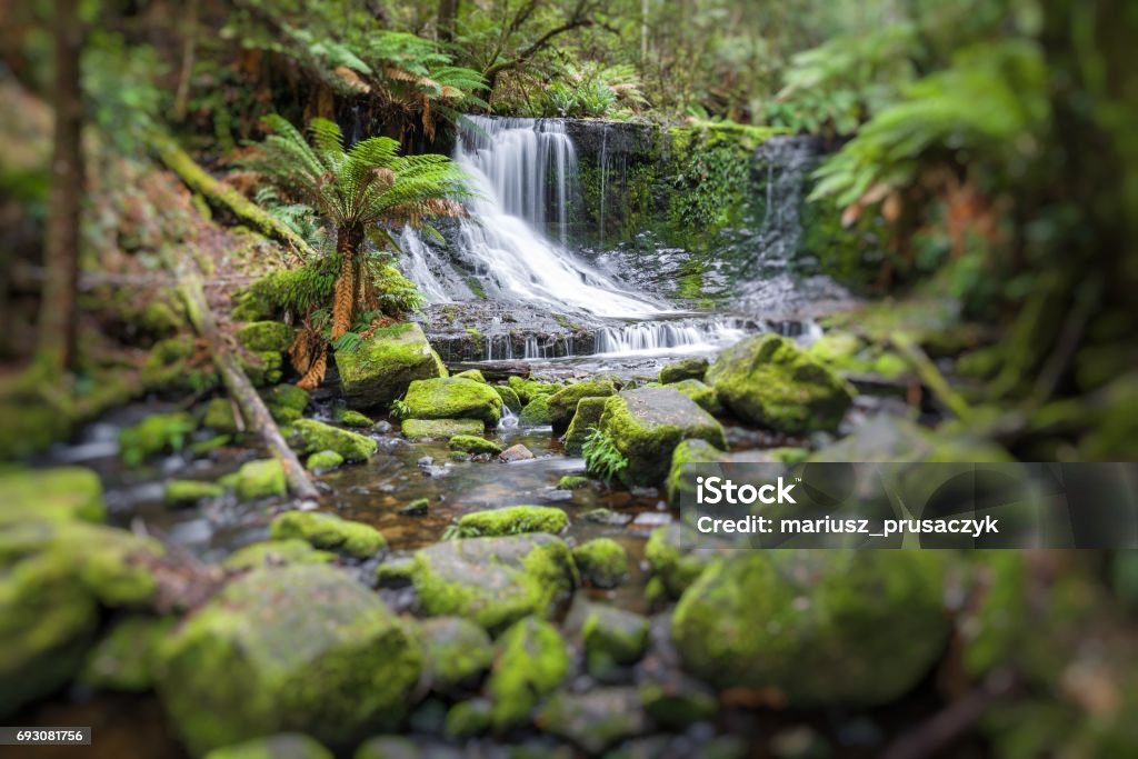 Russell Falls, Mount Field National park, Tasmania, Australia Russell Westbrook Stock Photo