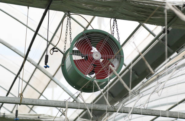 istock Fan in agriculture greenhouse 693085870