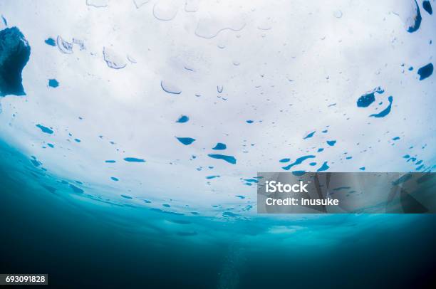 Drift Ice Diving Stock Photo - Download Image Now - Copy Space, Drift Ice, Eilat Underwater Observatory
